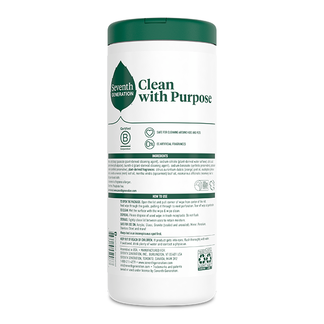 Multi-Surface Wipes - Garden Mint Surface Care Essential