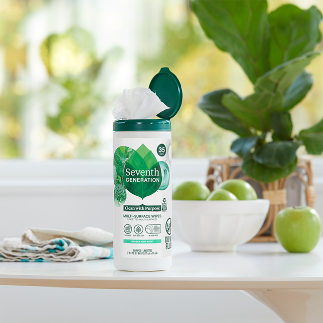 Multi-Surface Wipes - Garden Mint Surface Care Essential